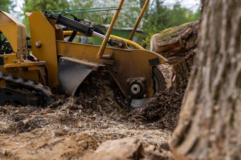 Arracher et broyer une souche d’arbre avec évacuation des déchets à Nancy et Meurthe-et-Moselle