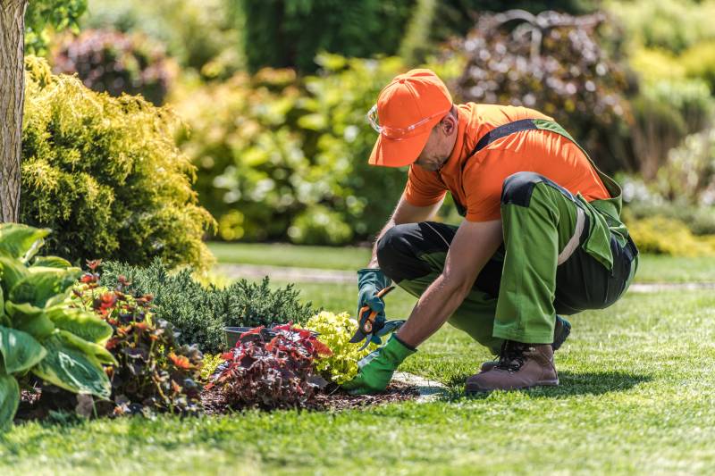 Faire entretenir son jardin et espaces verts par un jardinier professionnel à Nancy et Meurthe-et-Moselle