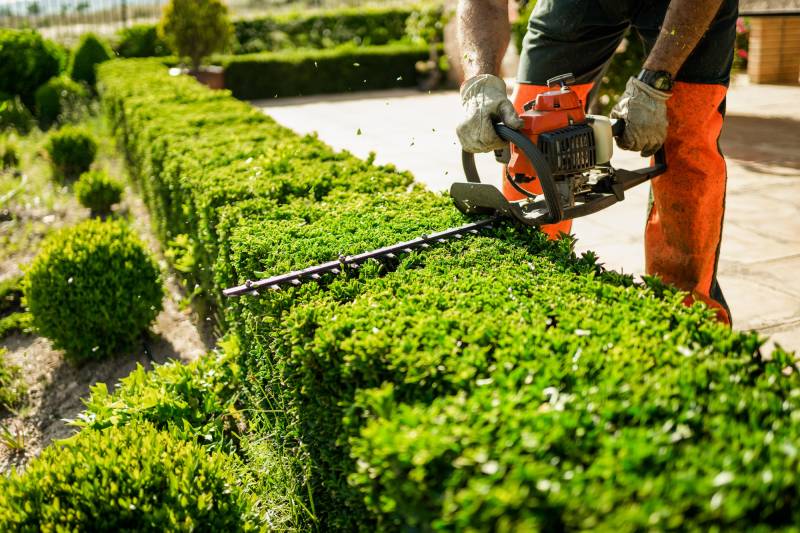 Découvrir notre entreprise experte en élagage et entretien d’espaces verts à Nancy et Meurthe-et-Moselle