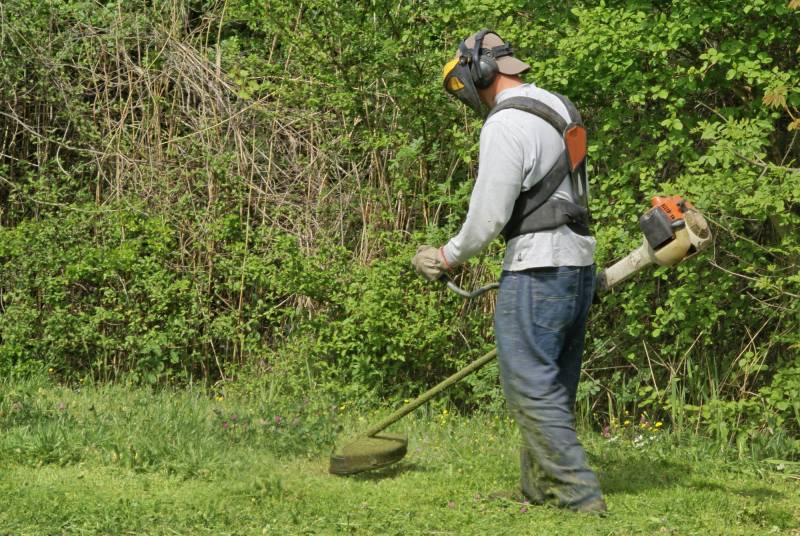 Débroussailler et nettoyer un terrain avant construction ou vente à Nancy et Meurthe-et-Moselle