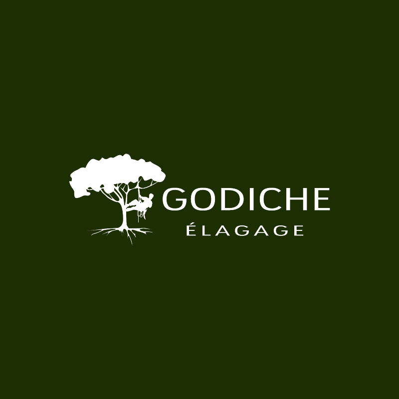 Pourquoi faire élaguer ses arbres en hiver à Lunéville et dans tout le secteur de la Meurthe-et-Moselle ?